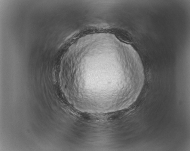 X0000076081205200610202031