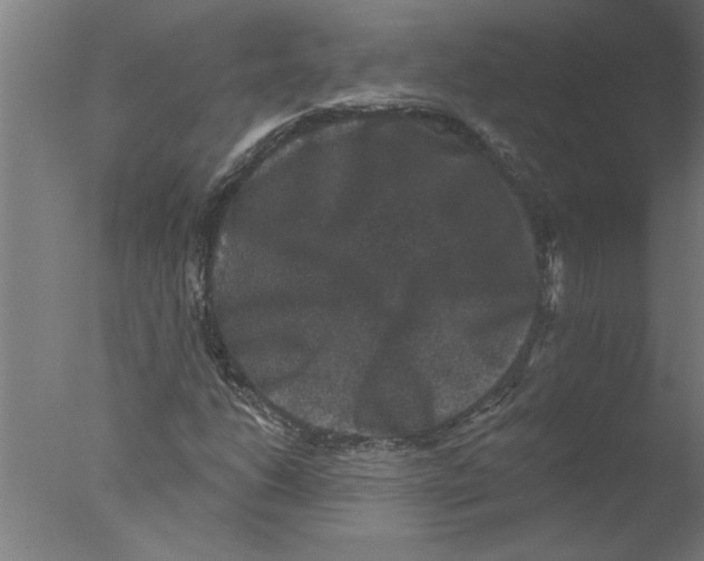 X0000076081206200610202031