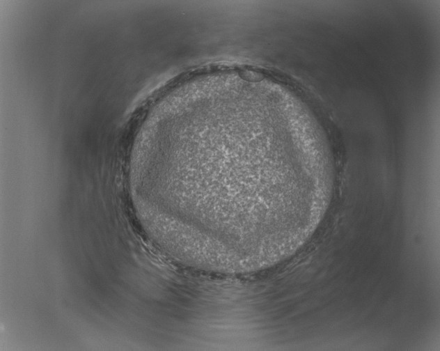 X0000076081207200610202031