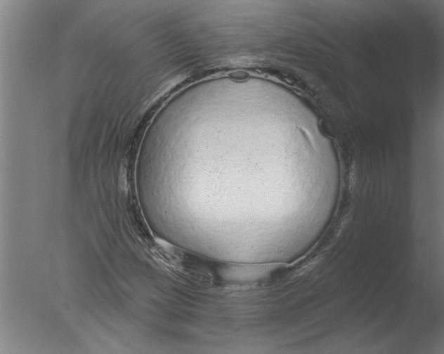 X0000076081209200610202031