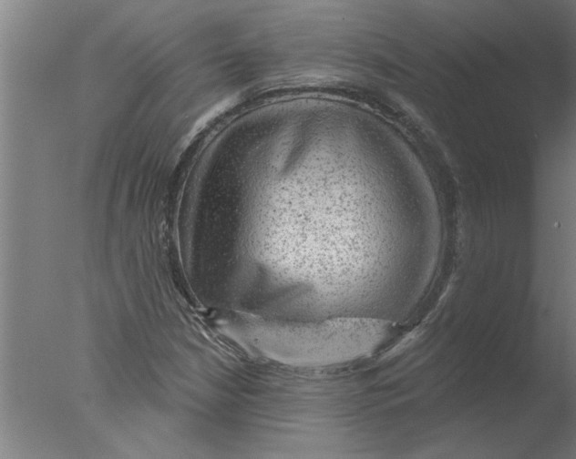 X0000076081210200610202031