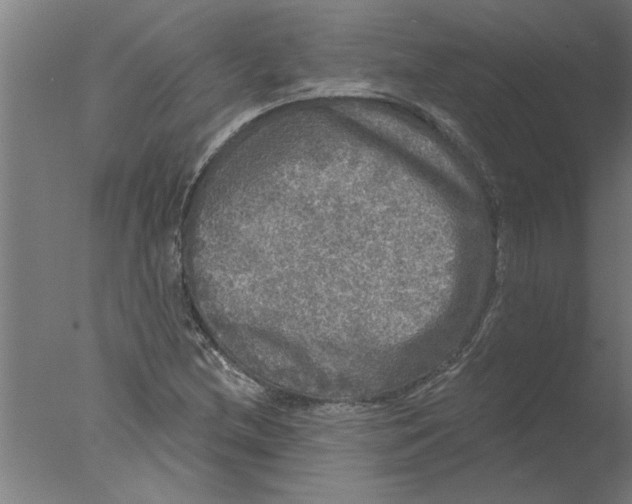 X0000076081212200610202031