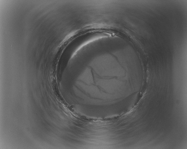 X0000076081213200610202031