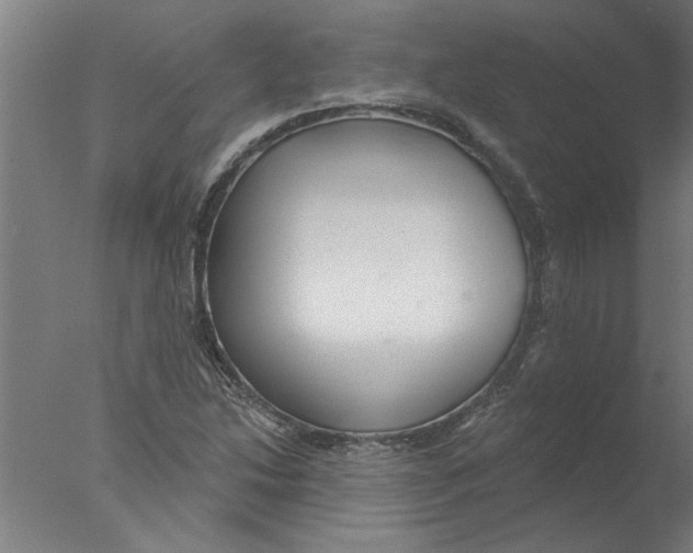 X0000076081214200610202031