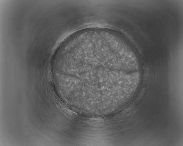 X0000076081215200610202031