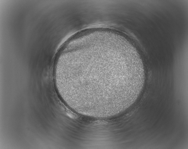 X0000076081216200610202031