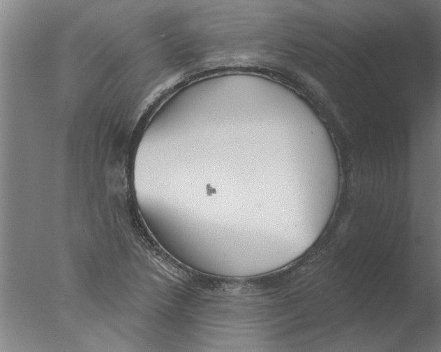 X0000076081218200610202031