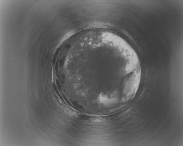 X0000076081219200610202031