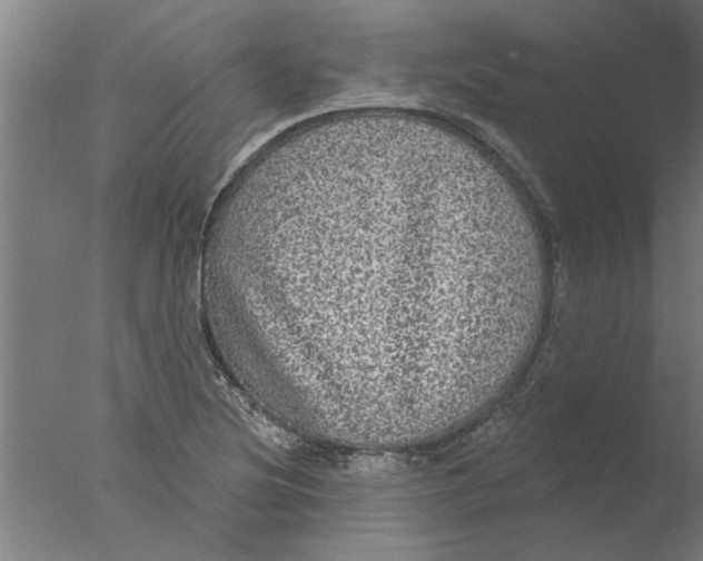 X0000076081220200610202031