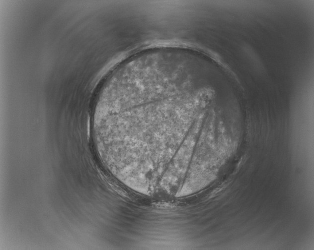 X0000076081221200610202031