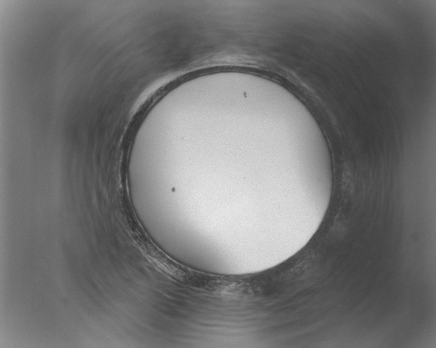 X0000076081222200610202031