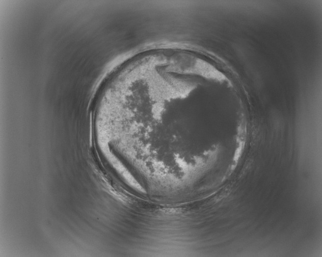 X0000076081223200610202031