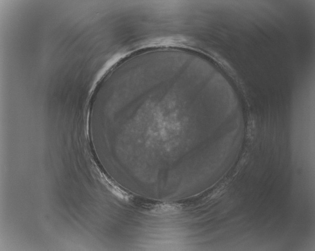 X0000076081224200610202032