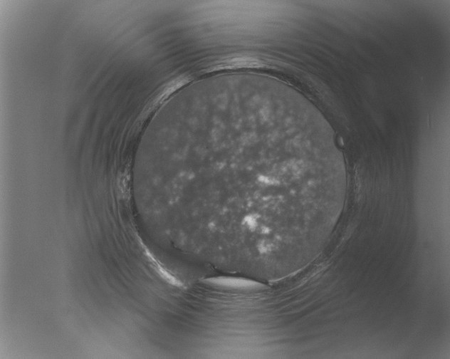 X0000076081225200610202032