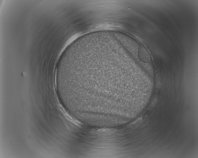 X0000076081227200610202032