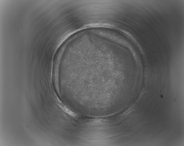 X0000076081228200610202032