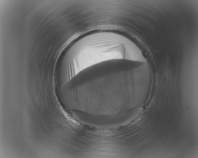 X0000076081229200610202032