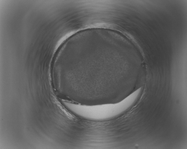 X0000076081230200610202032