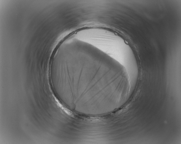 X0000076081231200610202032