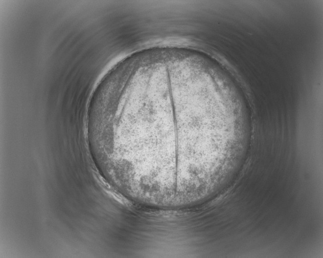 X0000076081232200610202032