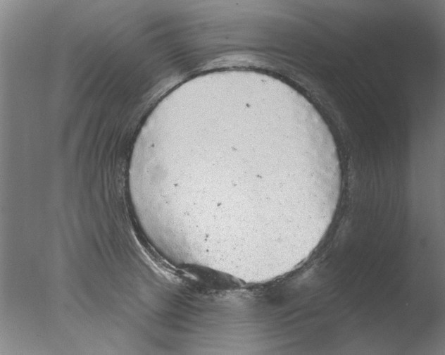 X0000076081233200610202032