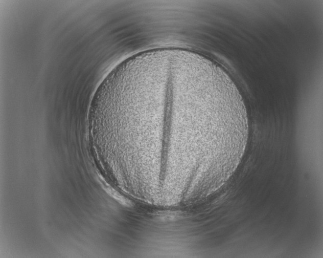 X0000076081236200610202032