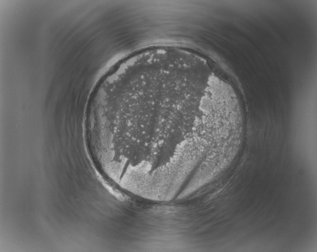 X0000076081237200610202032