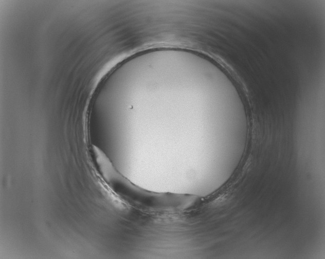 X0000076081238200610202032