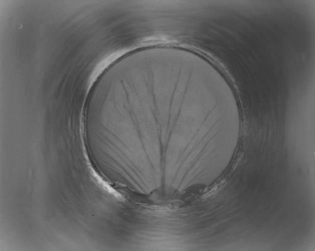 X0000076081239200610202032