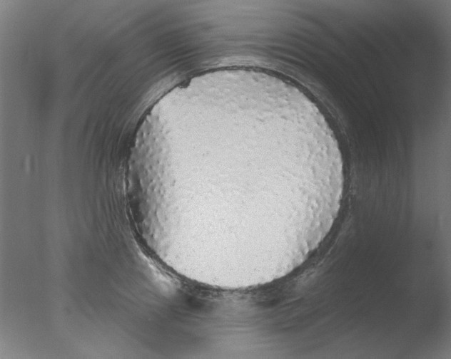 X0000076081241200610202032