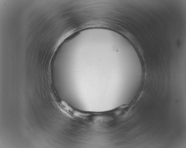 X0000076081242200610202032