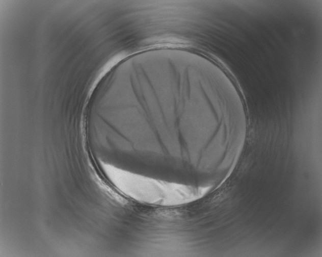 X0000076081243200610202032