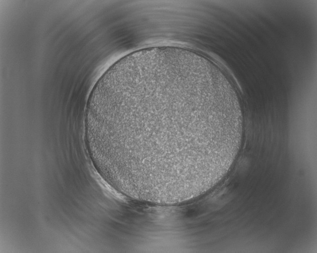 X0000076081244200610202032