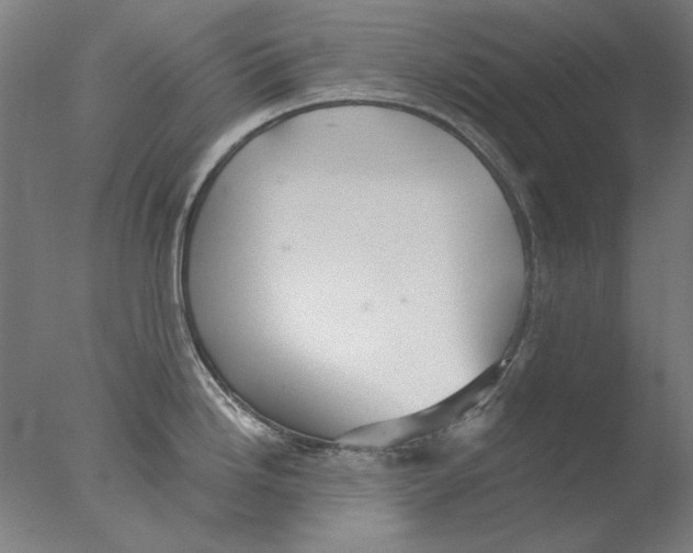 X0000076081246200610202032