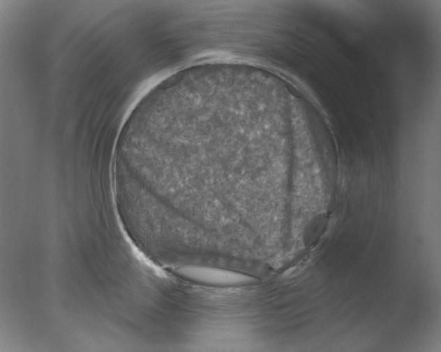 X0000076081247200610202032