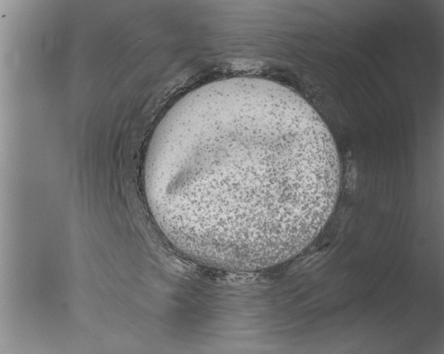 X0000076081249200610202031