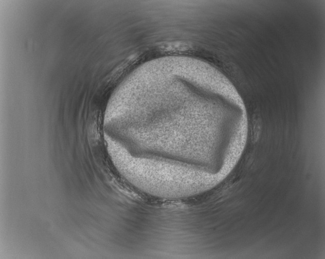 X0000076081250200610202031