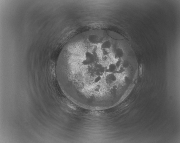 X0000076081251200610202031