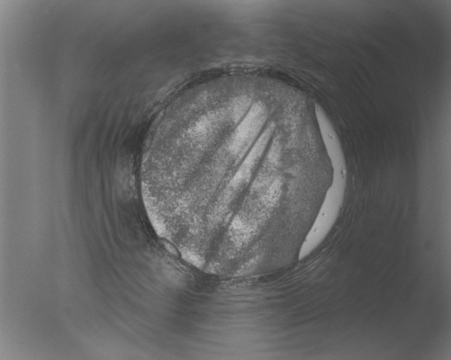 X0000076081252200610202031