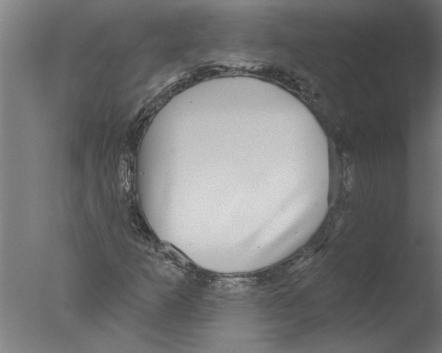 X0000076081253200610202031