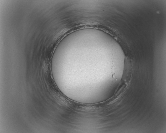 X0000076081257200610202031