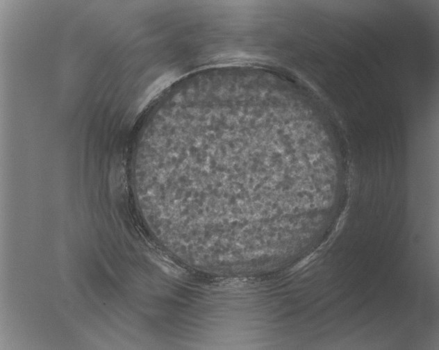 X0000076081259200610202031