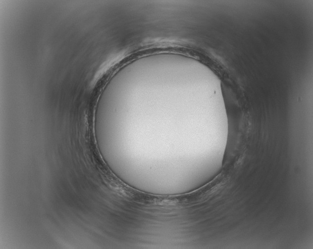 X0000076081261200610202031