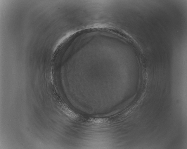 X0000076081262200610202031