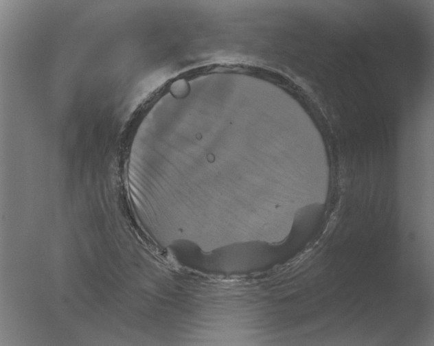 X0000076081263200610202031