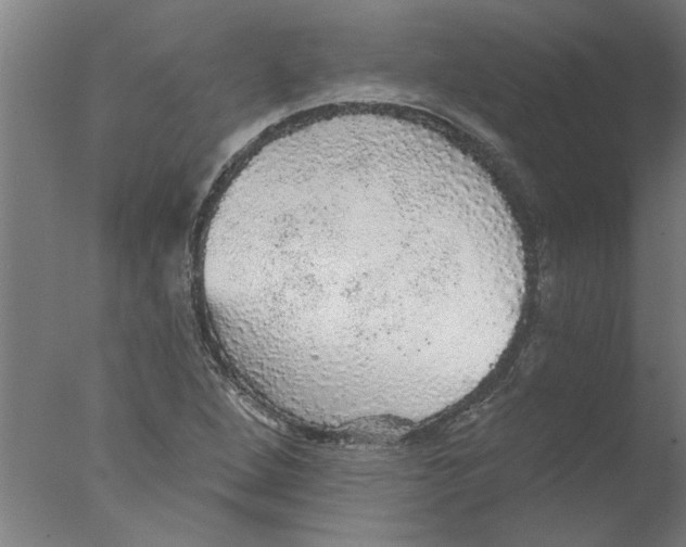 X0000076081264200610202031