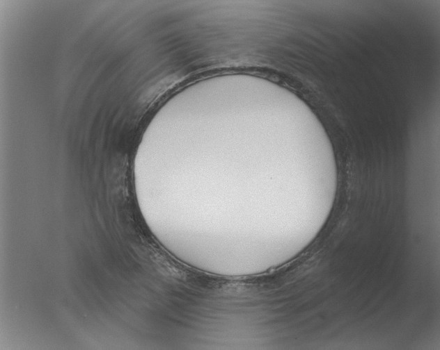 X0000076081265200610202031