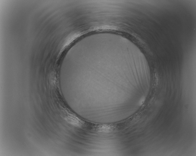 X0000076081266200610202031