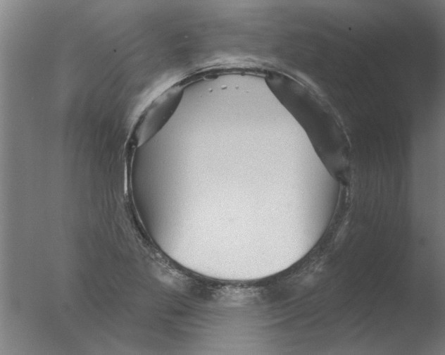 X0000076081269200610202031