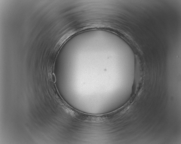 X0000076081273200610202031